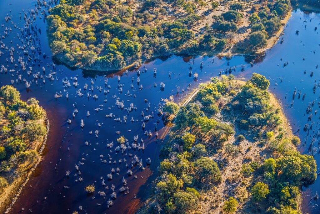 Botswana Okavango delta